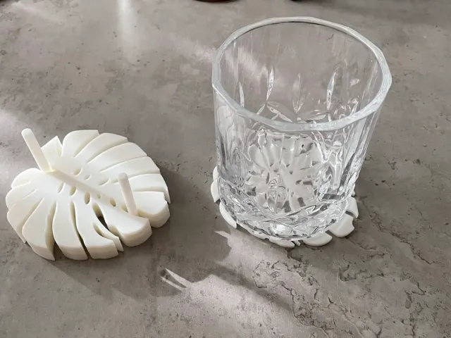 Monstera Leaf Coaster and Holder