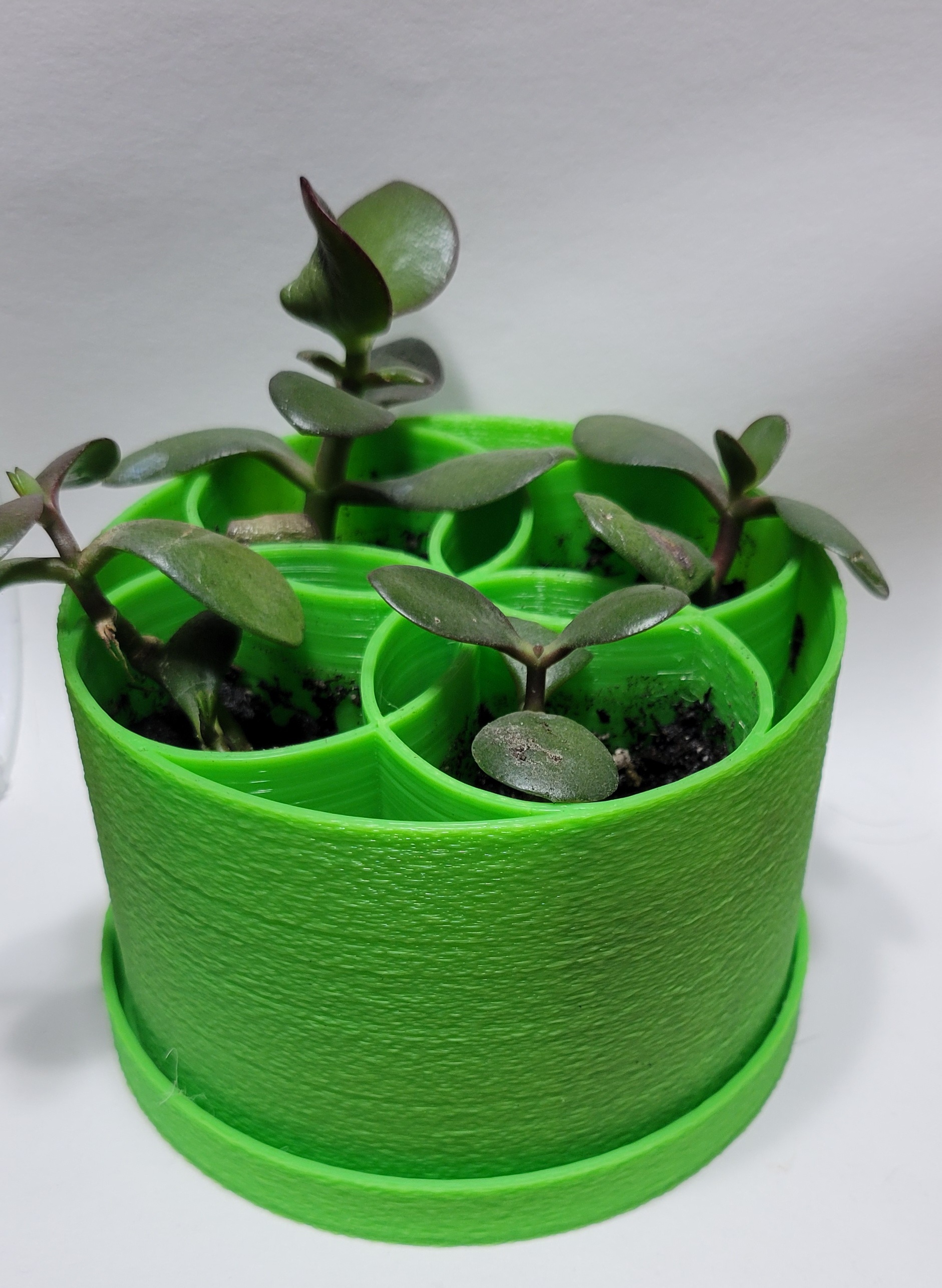 plant-pot-dish-by-d3dorsett-download-free-stl-model-printables
