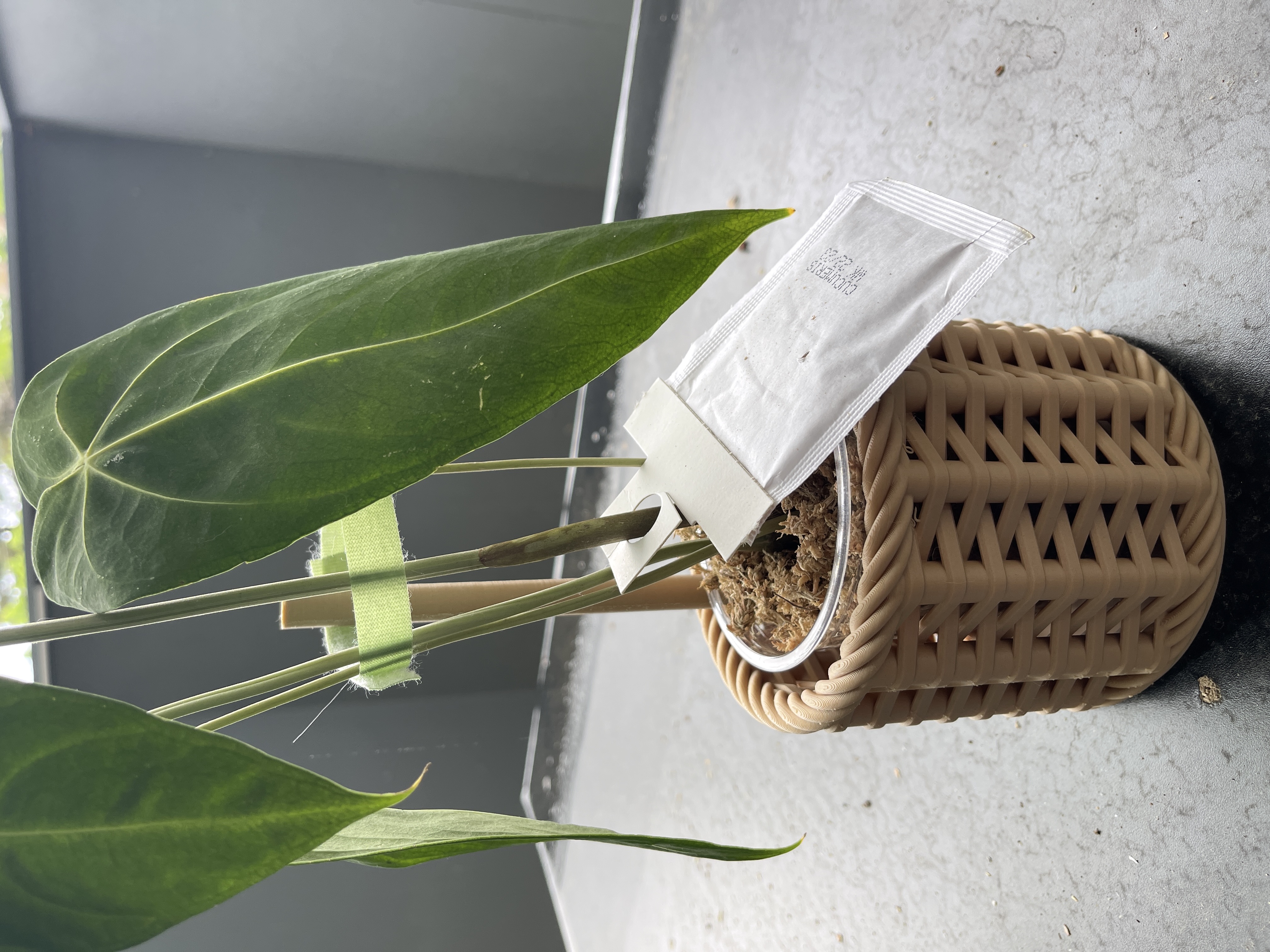 Woven Plant Holder with Support Rod