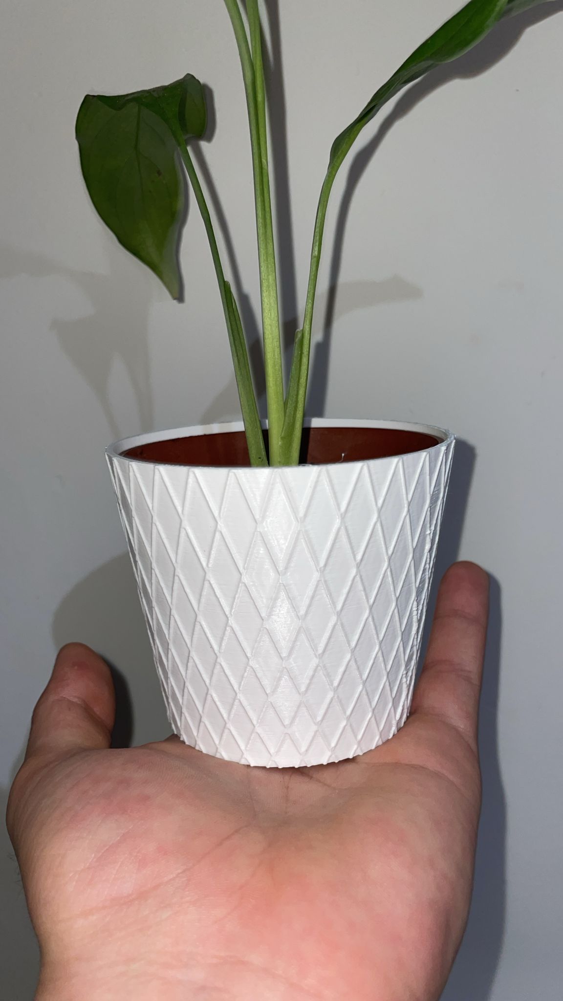 Macetero Pot — miniatura 4