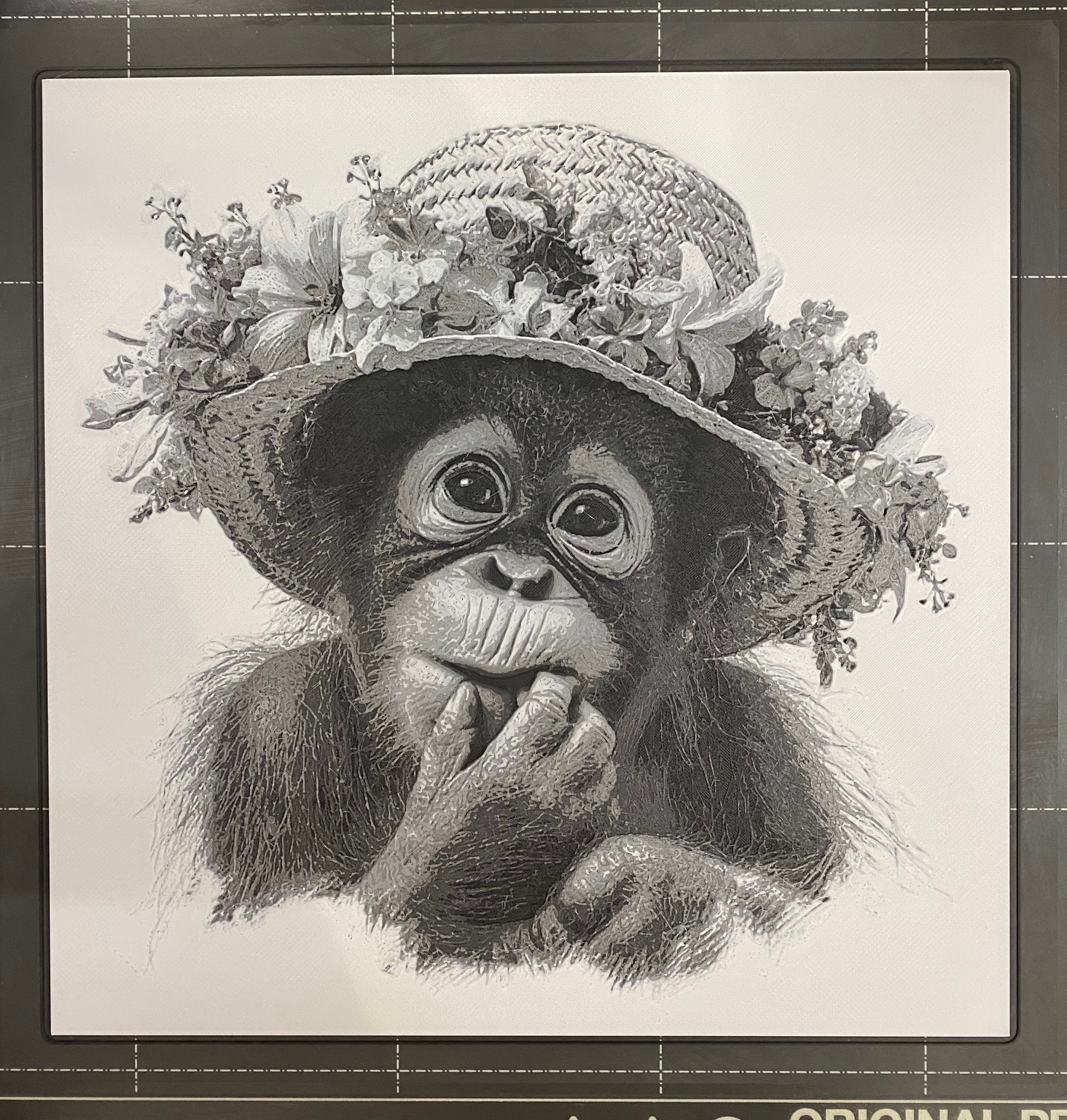 Baby Orangutan in a Flowered Hat - Hueforge