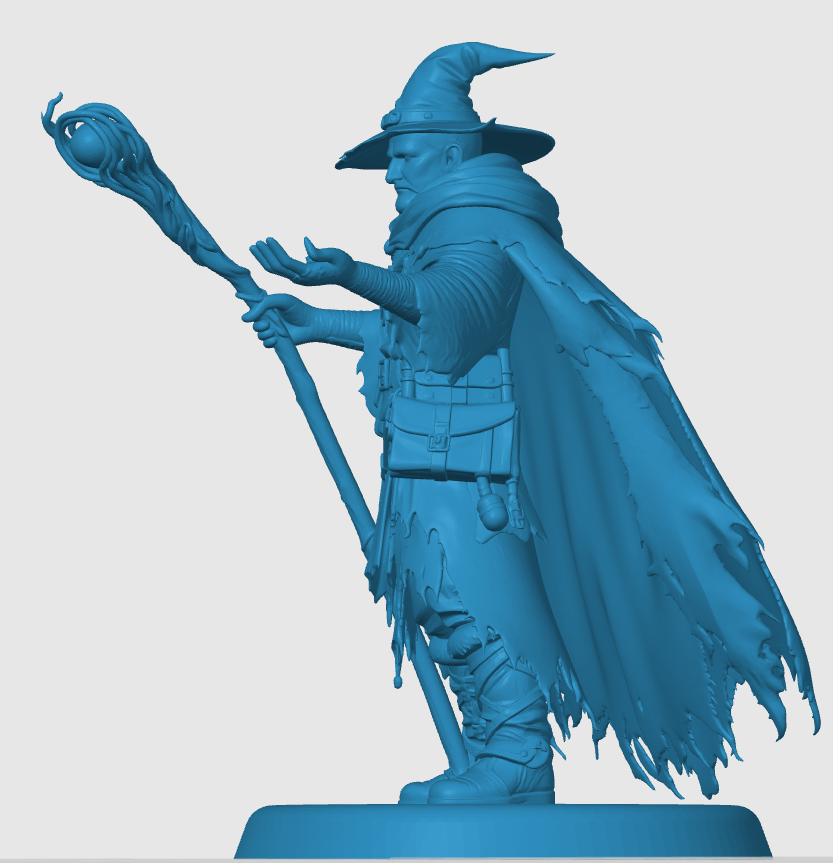 Human Wizard — thumbnail 3
