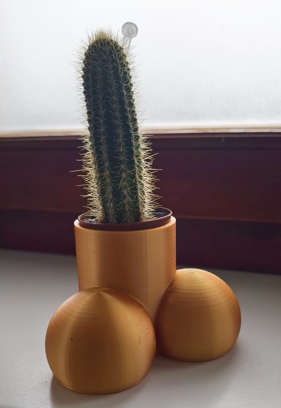 Dick and Balls Vase