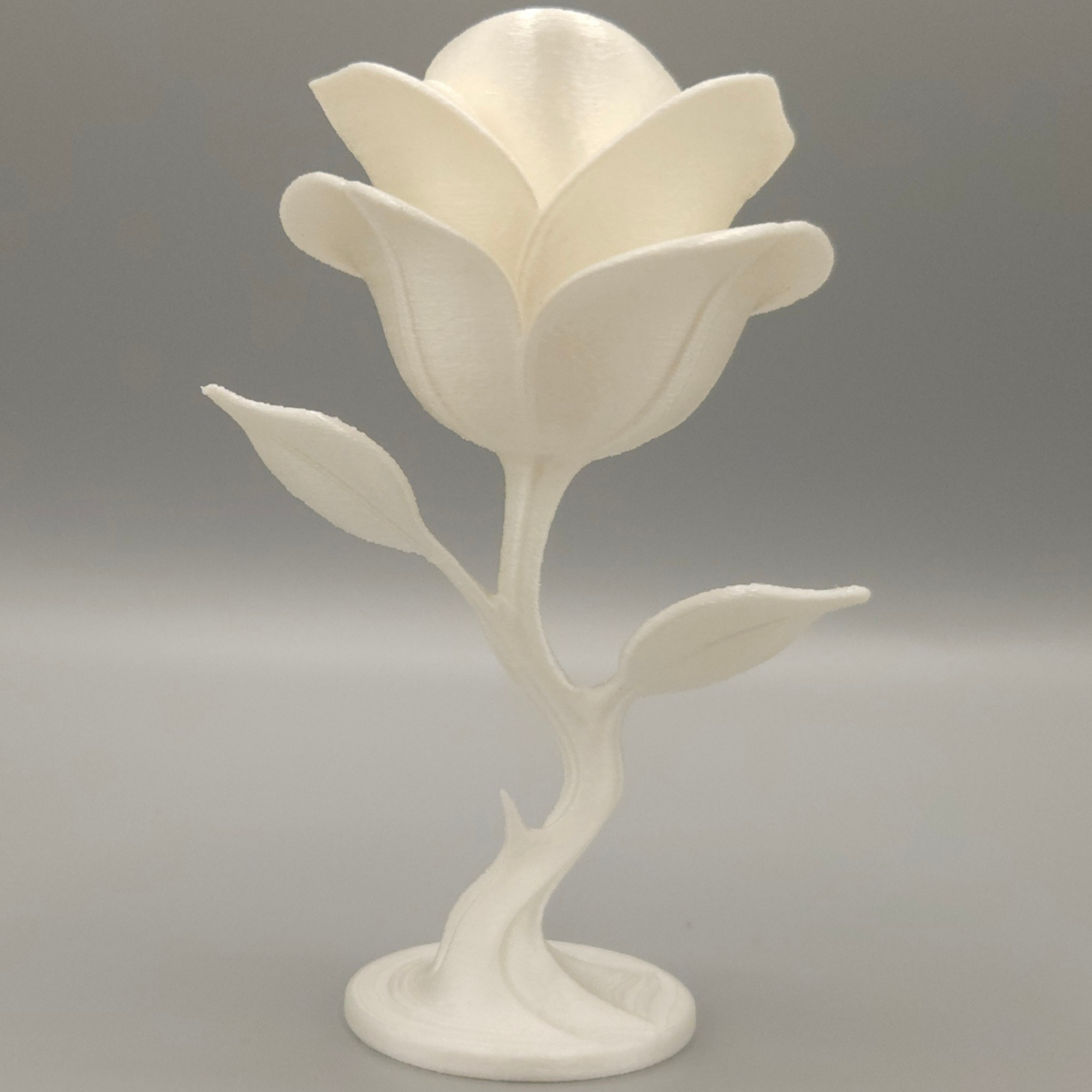 Miniatura 5 do modelo 3D Eternal Rose