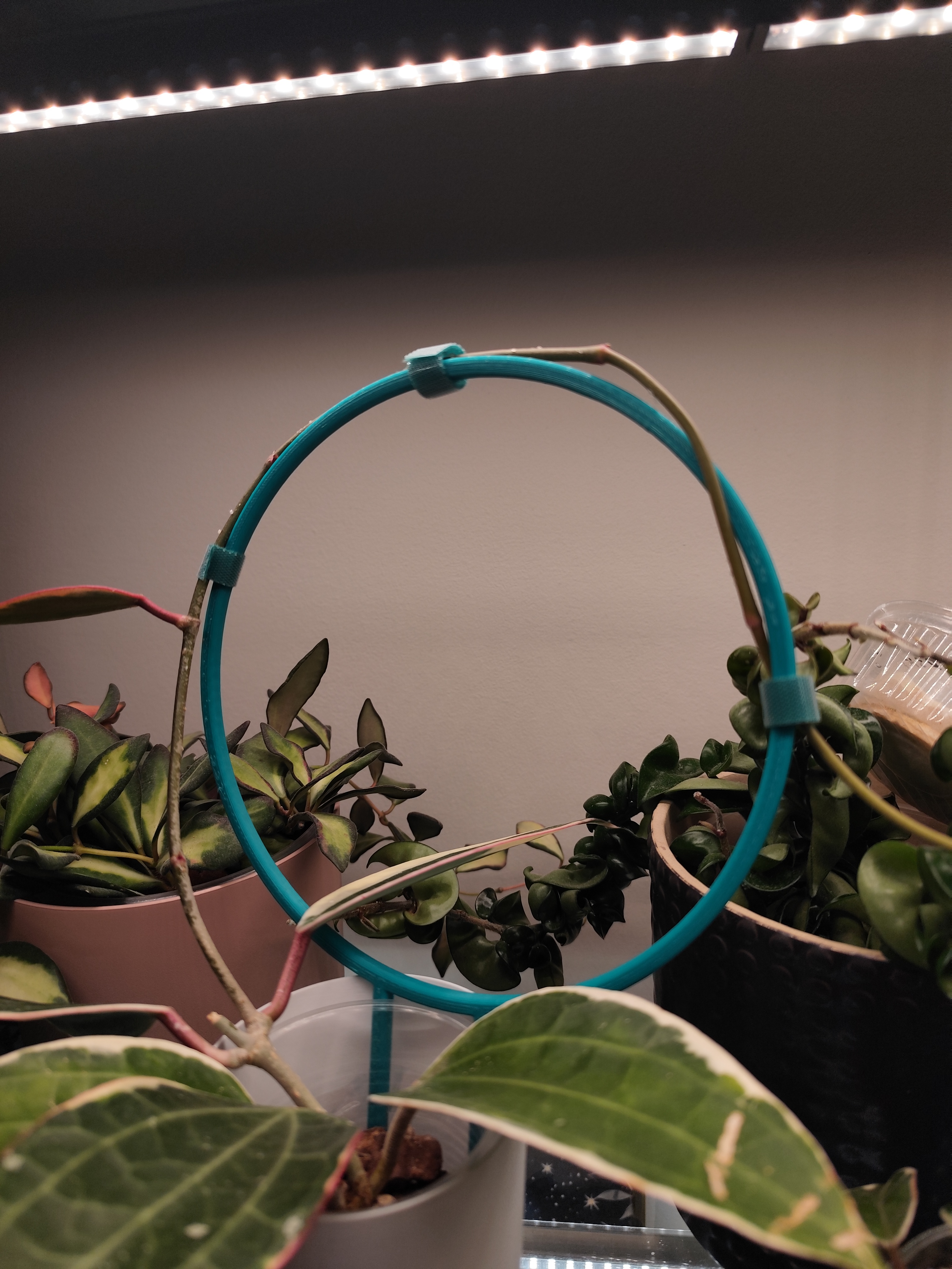 Rounded trellis — miniatura 2