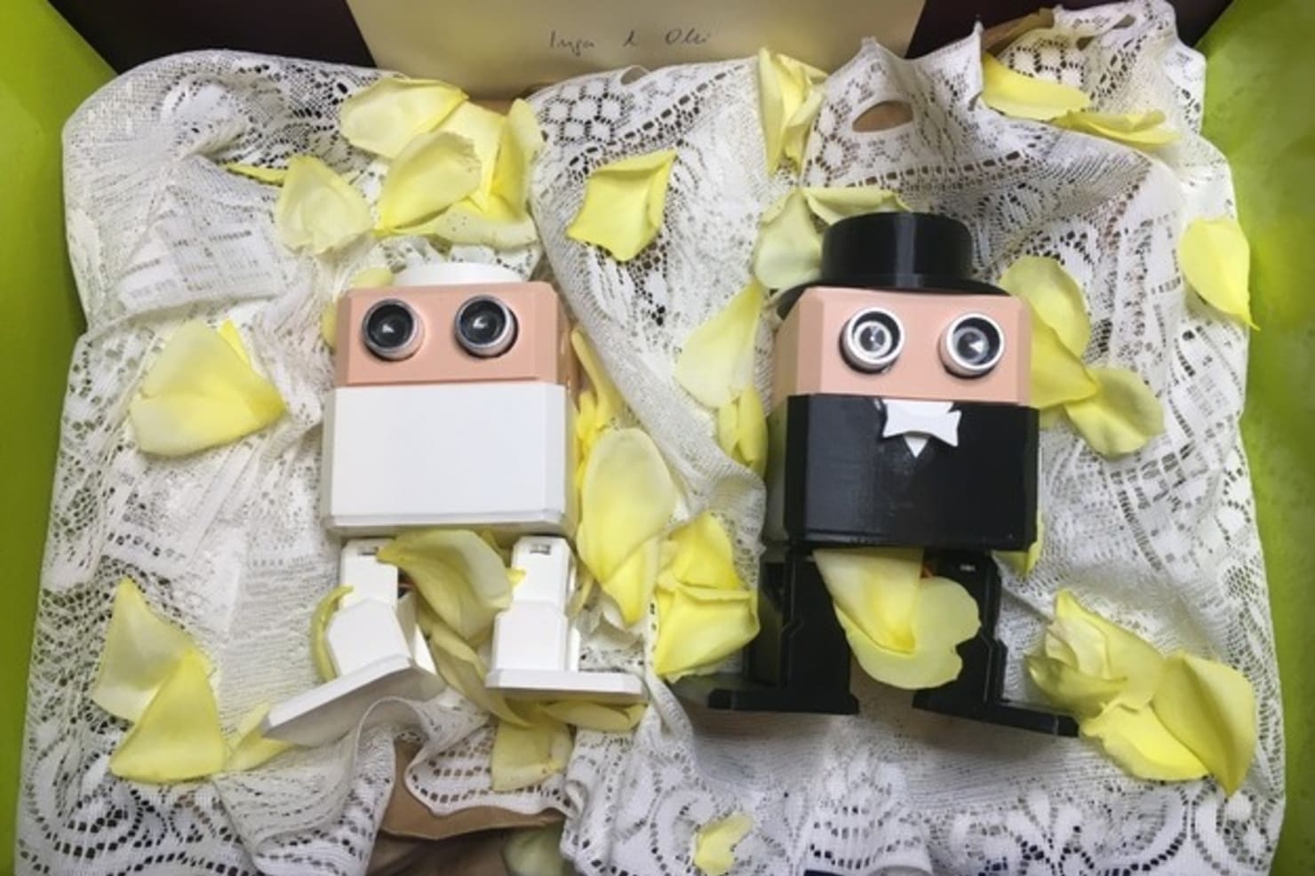 Otto Married robots