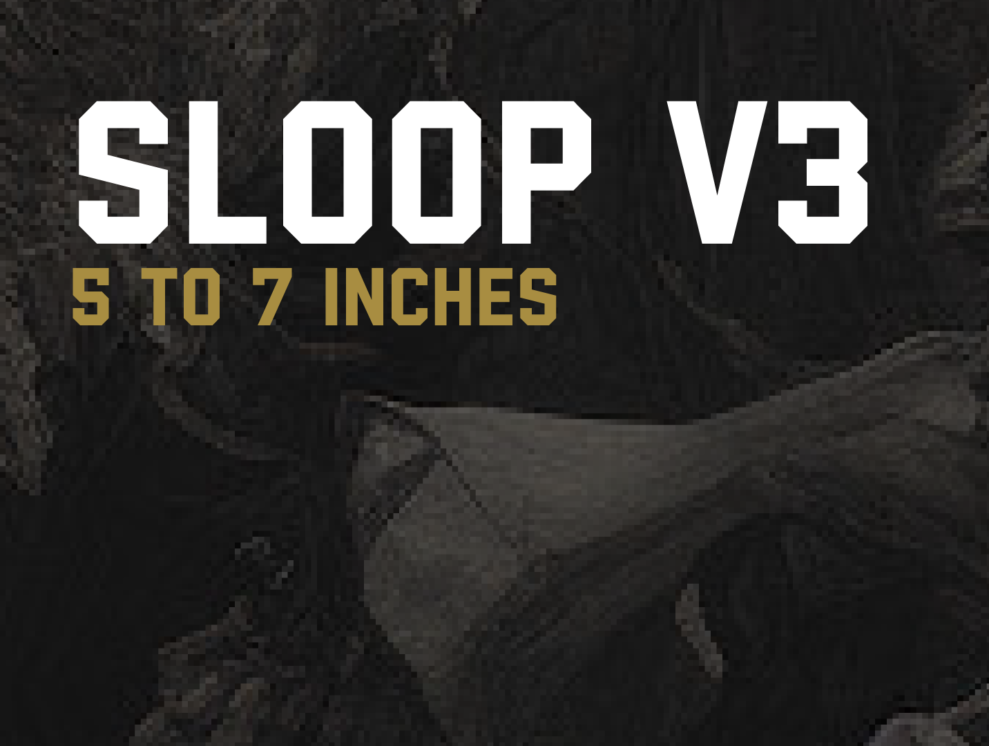 SLOOP V3