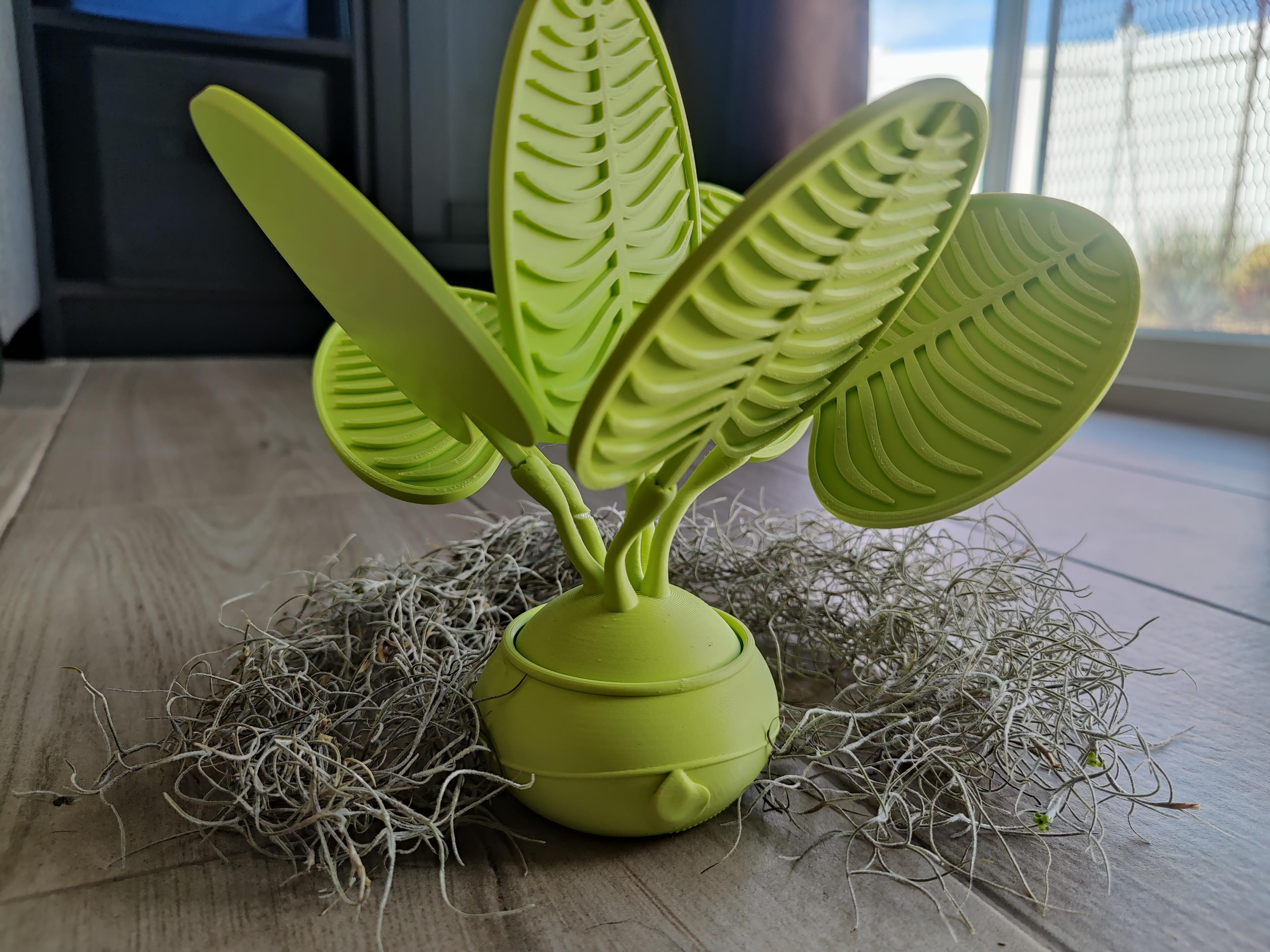 Leaf Drink Coasters with Decorative Plant Holder by Trilobyte3D