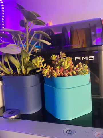 SELF WATERING PLANTER