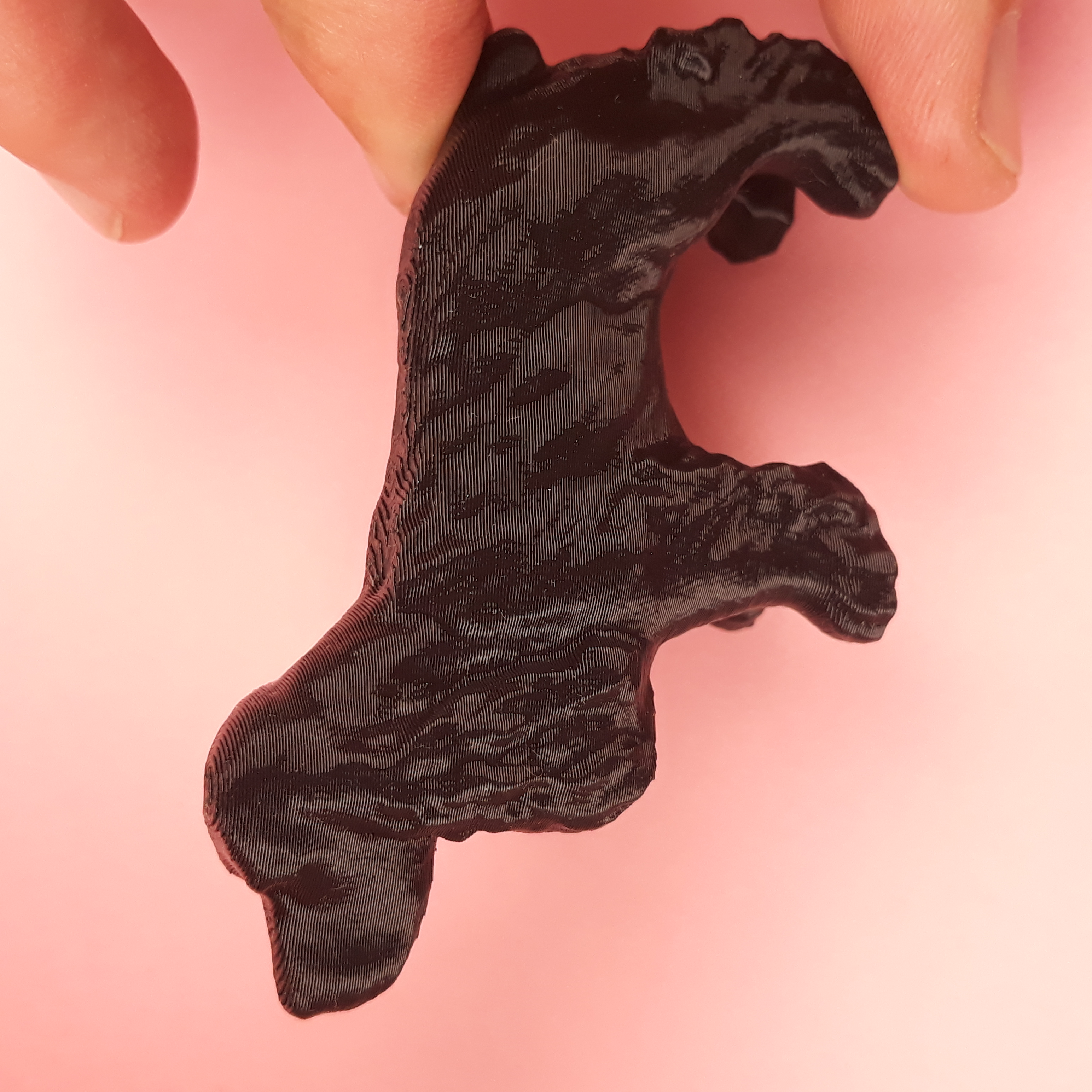 Miniatura 4 do modelo 3D Cocker spaniel
