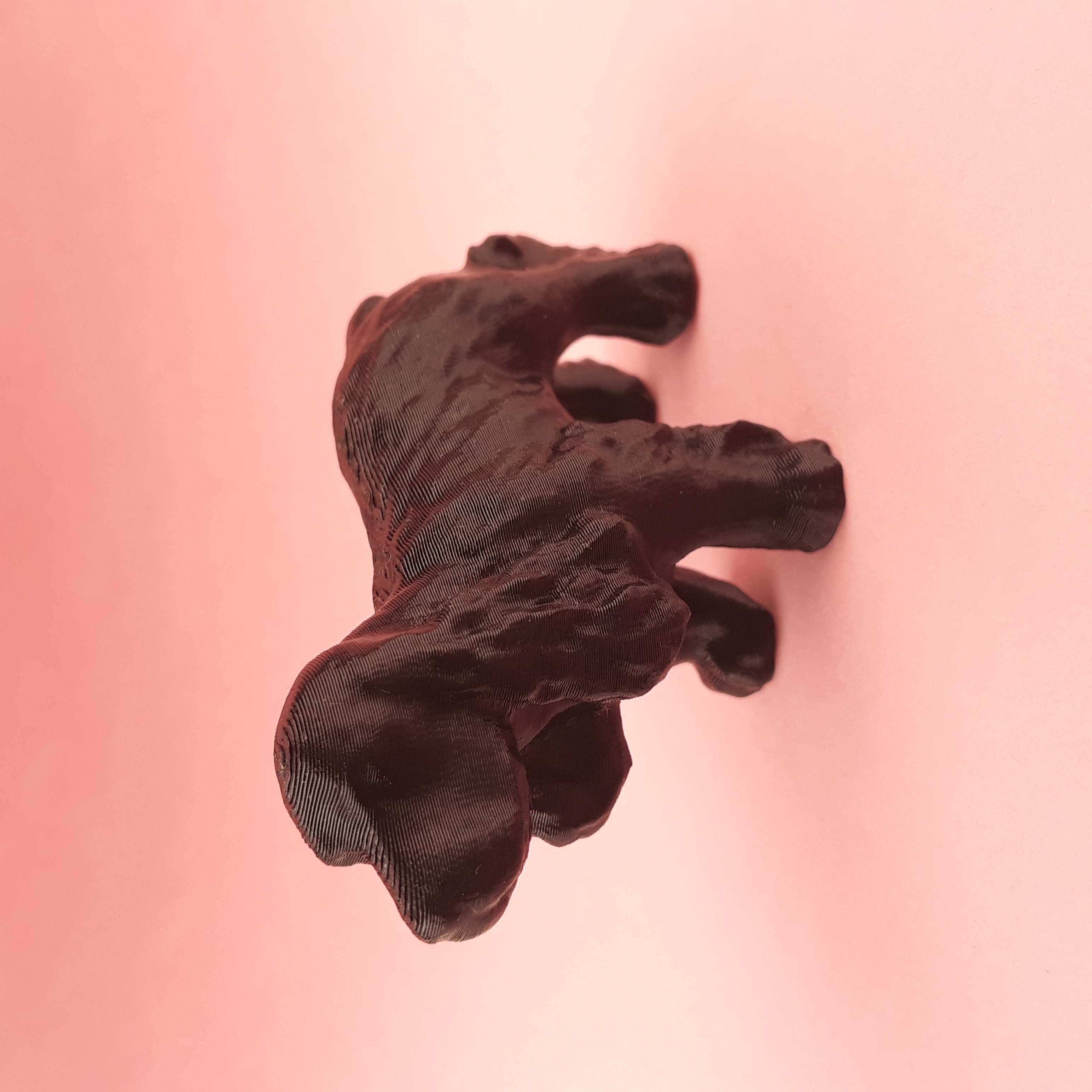 Miniatura 5 do modelo 3D Cocker spaniel