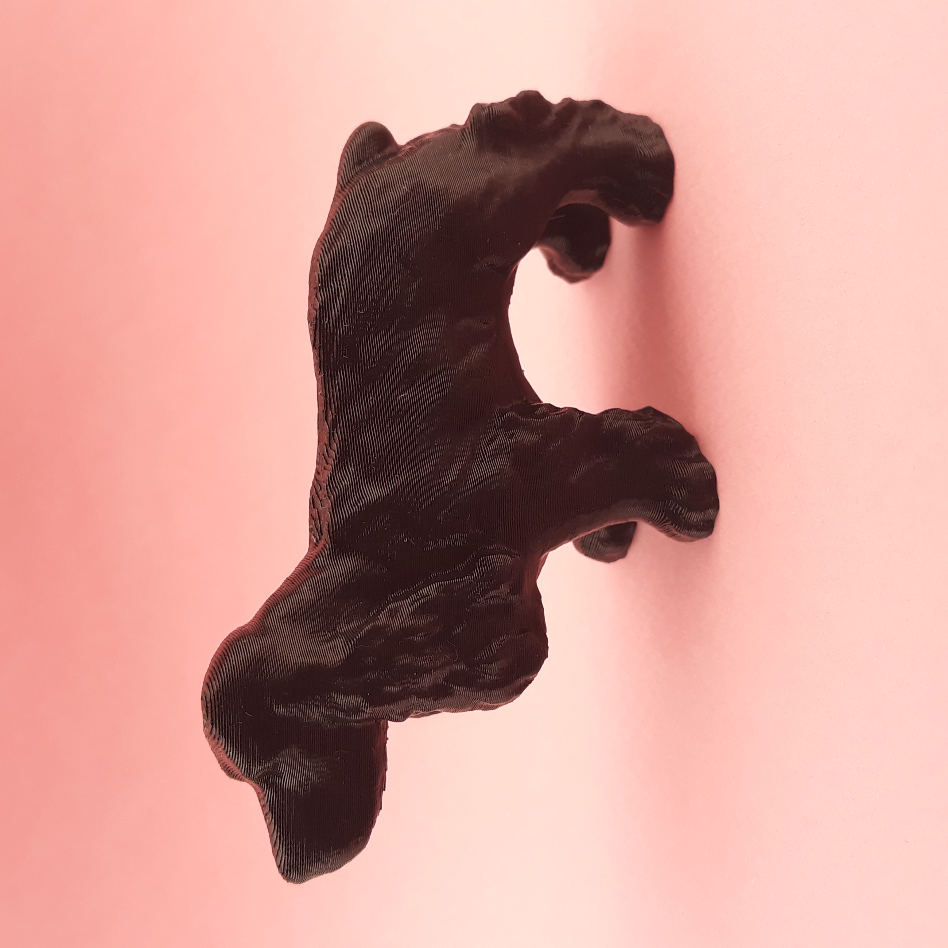 Miniatura 2 do modelo 3D Cocker spaniel