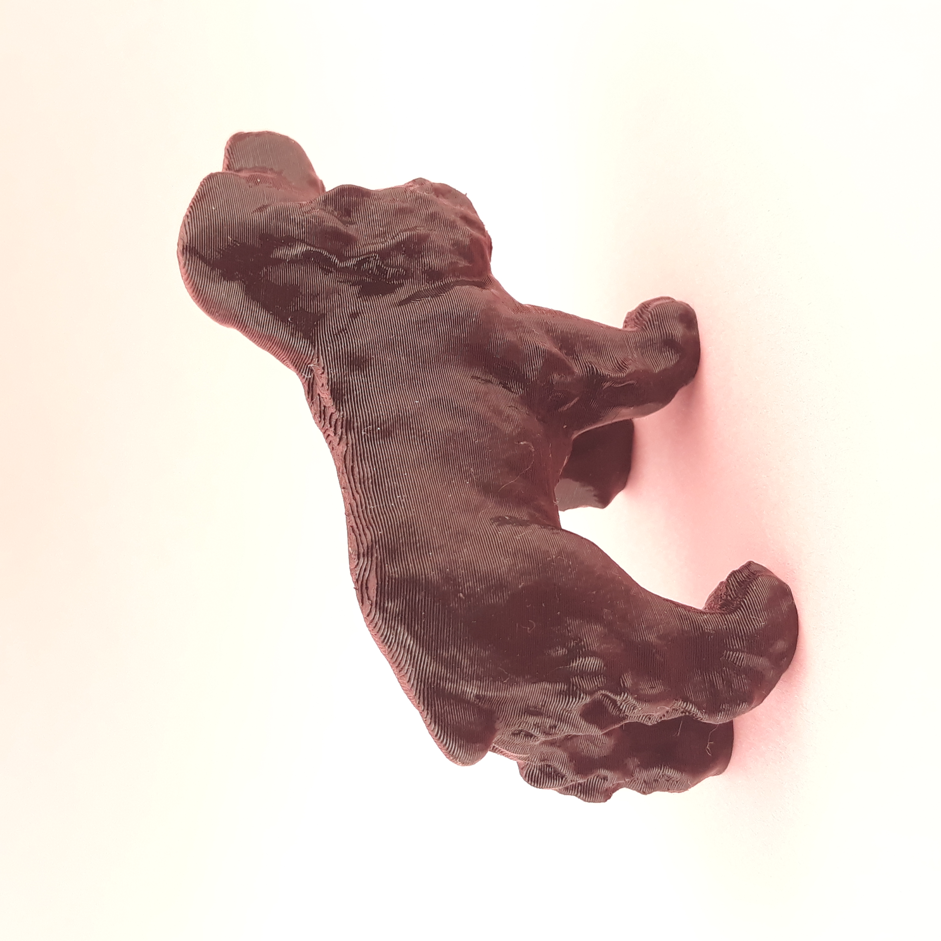 Miniatura 7 do modelo 3D Cocker spaniel