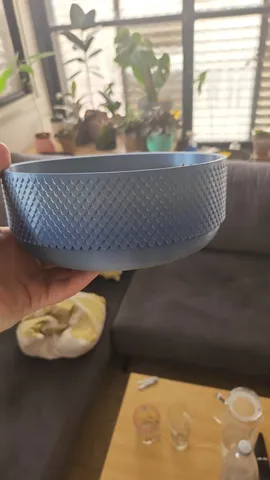 Dragon Scale Low Pot or Keys Plate