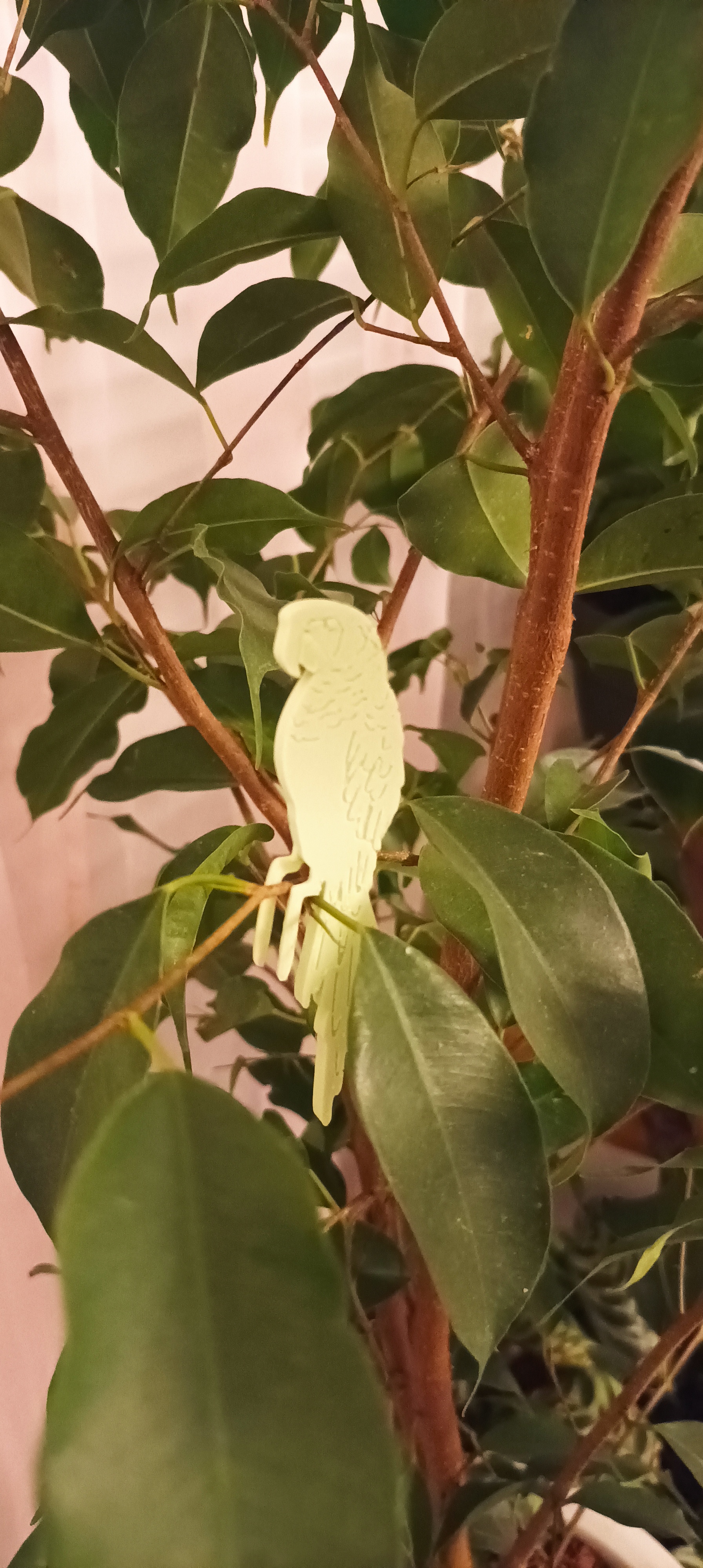 Perroquet (Ara) pour décoration de plante