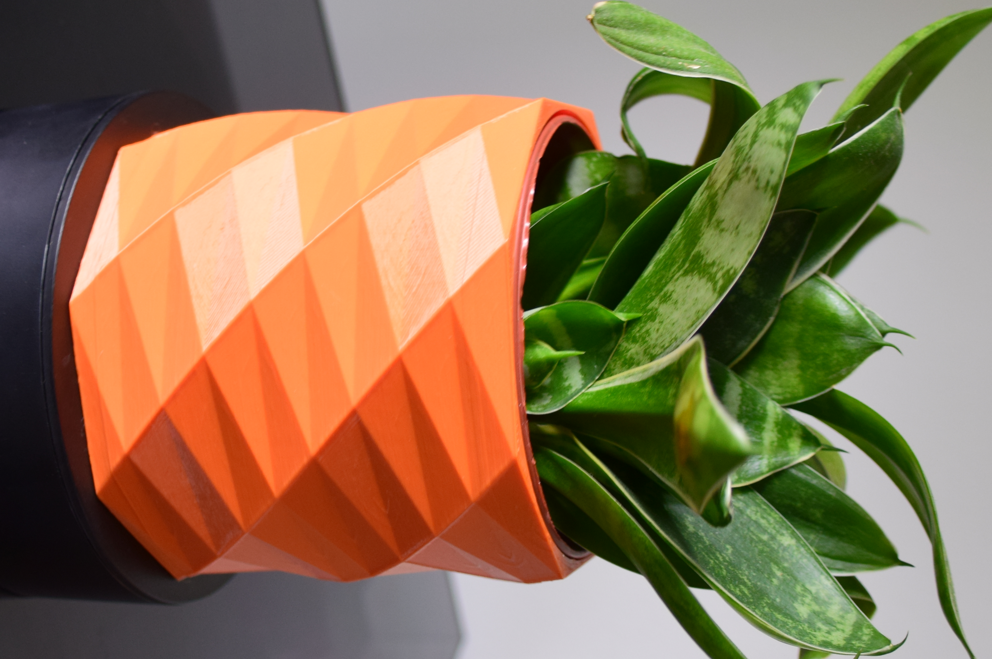 Plant Pot (geometric spiral)