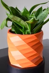 Plant Pot (geometric spiral)