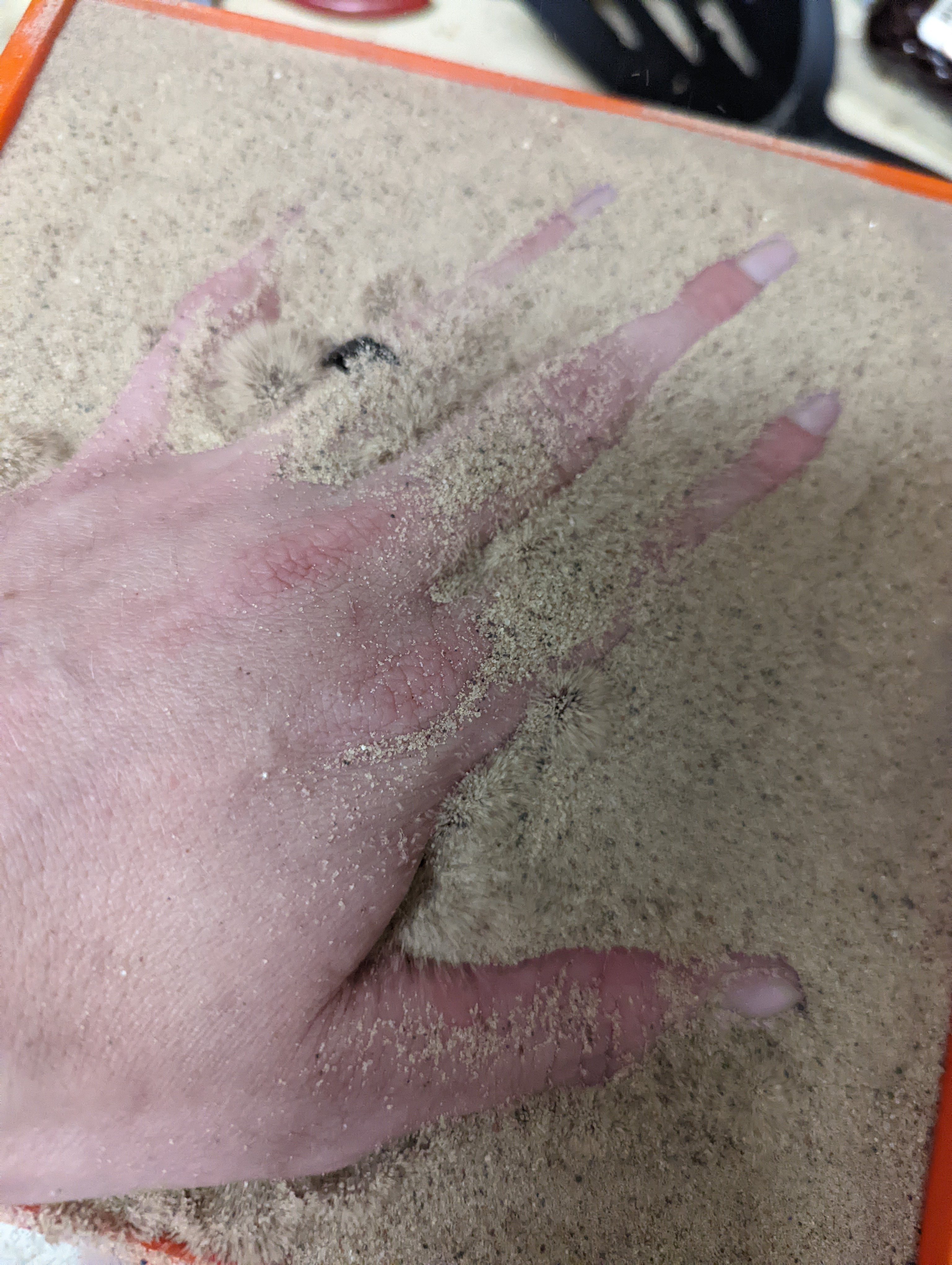 Miniatura 7 do modelo 3D Sand Fluidization sandbox