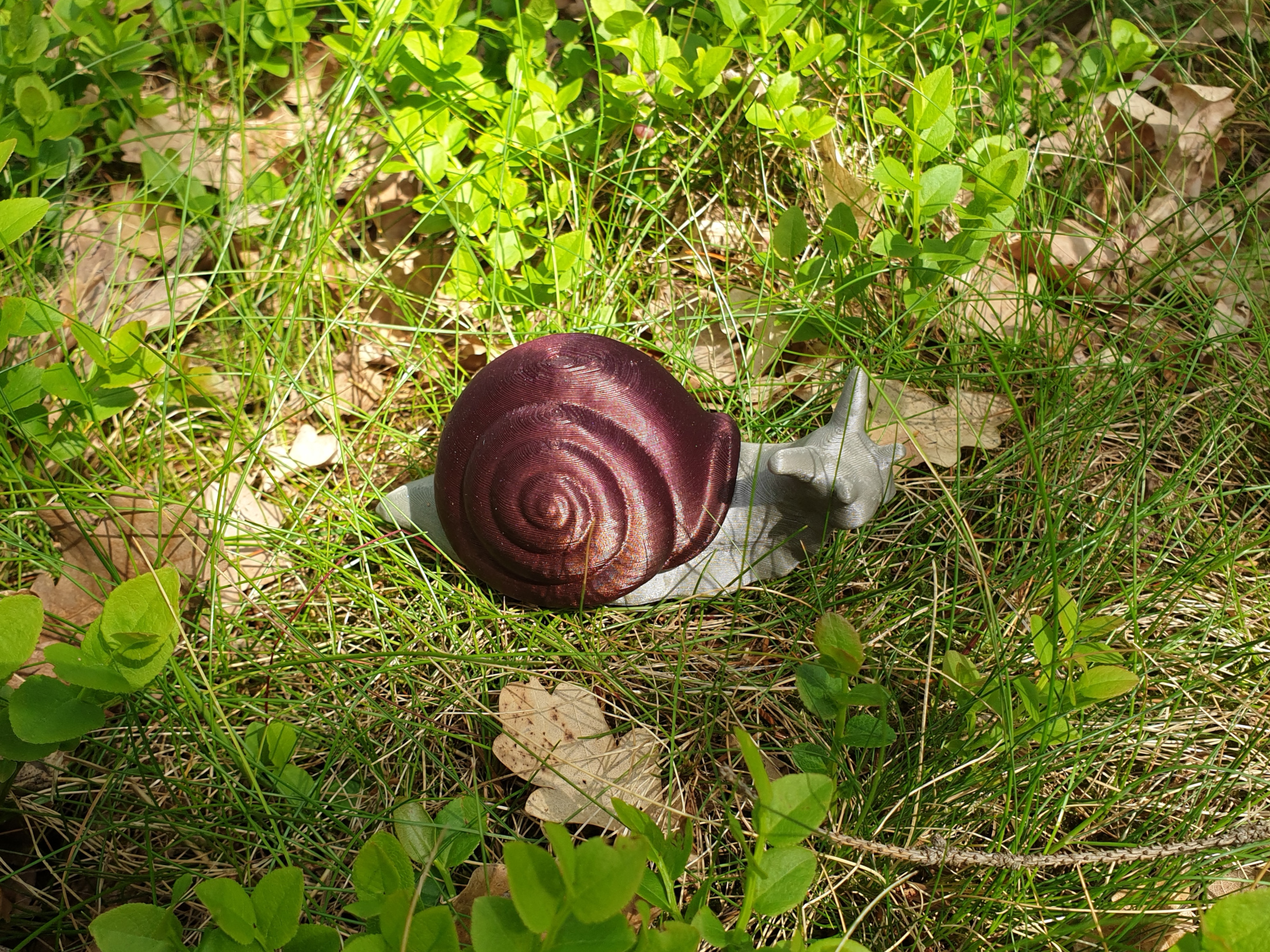 Miniatura 2 do modelo 3D Snail (multi-material)