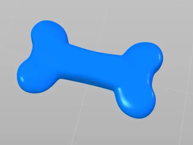 bone (os)