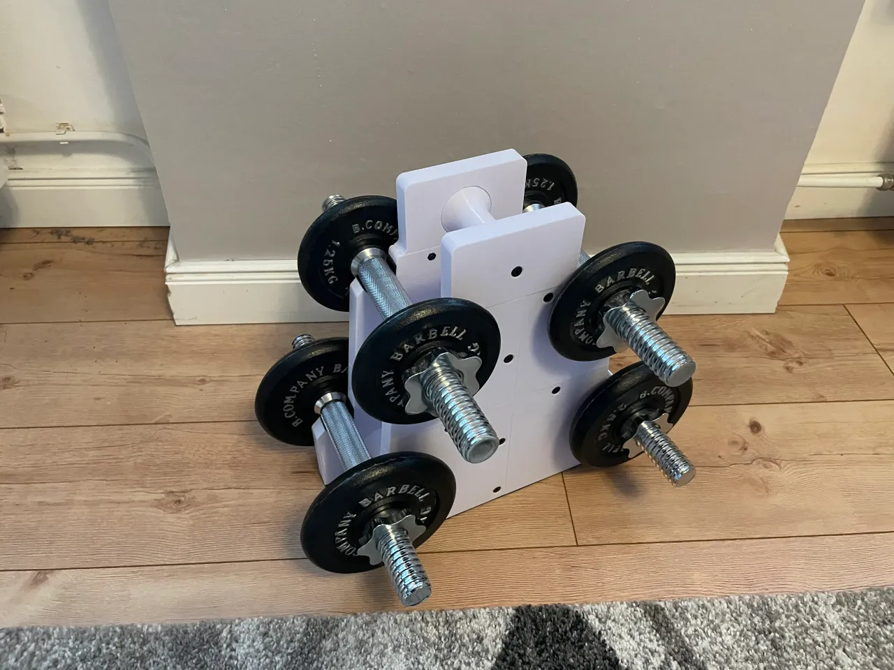 Free weights with online stand