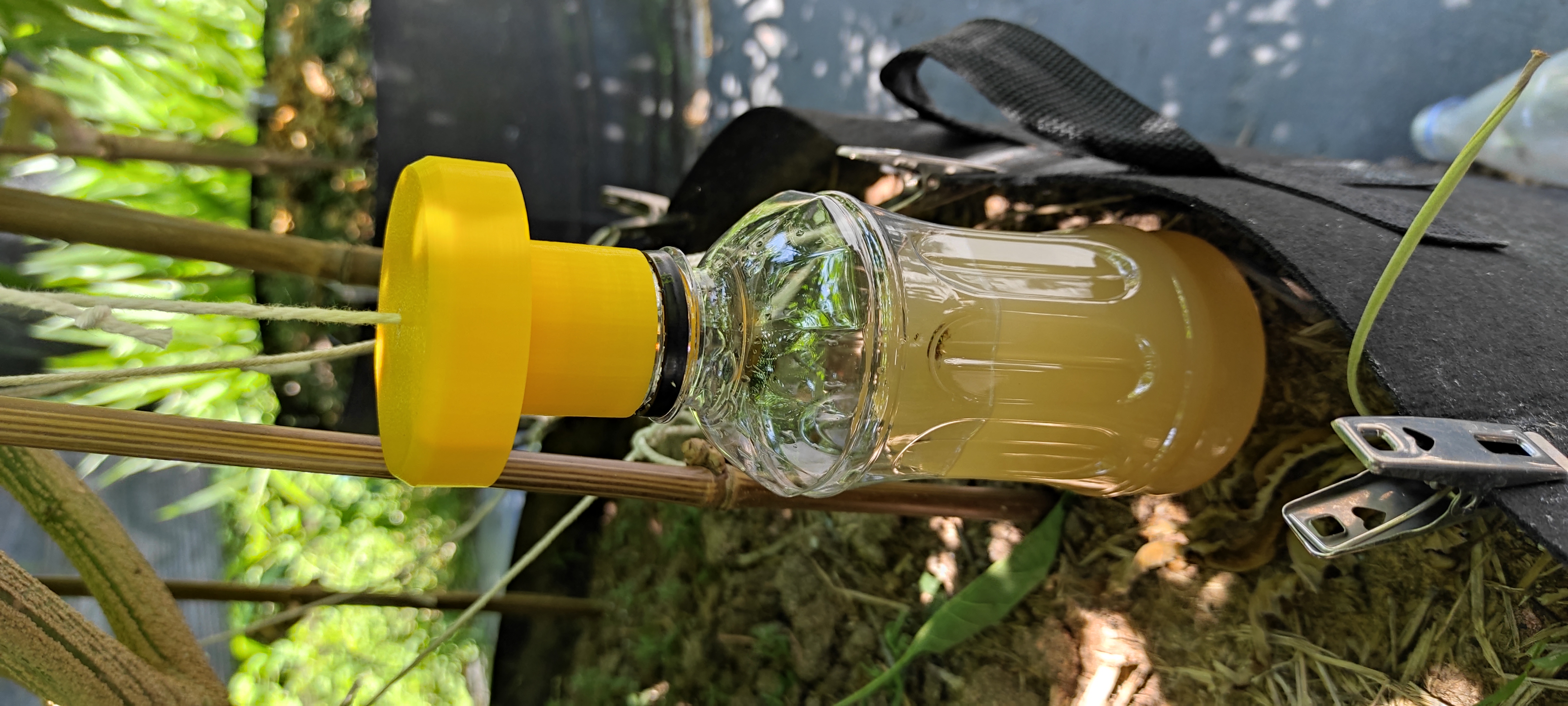 Fruit flies trap