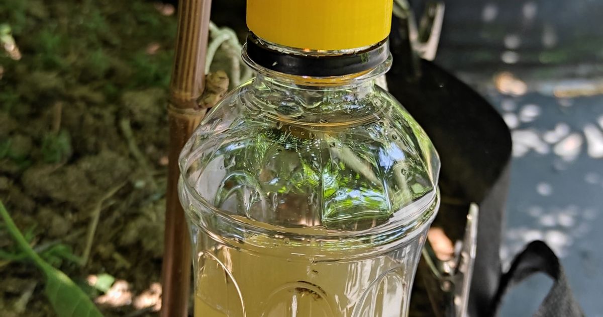 Fruit flies trap by S. Thanawat Download free STL model