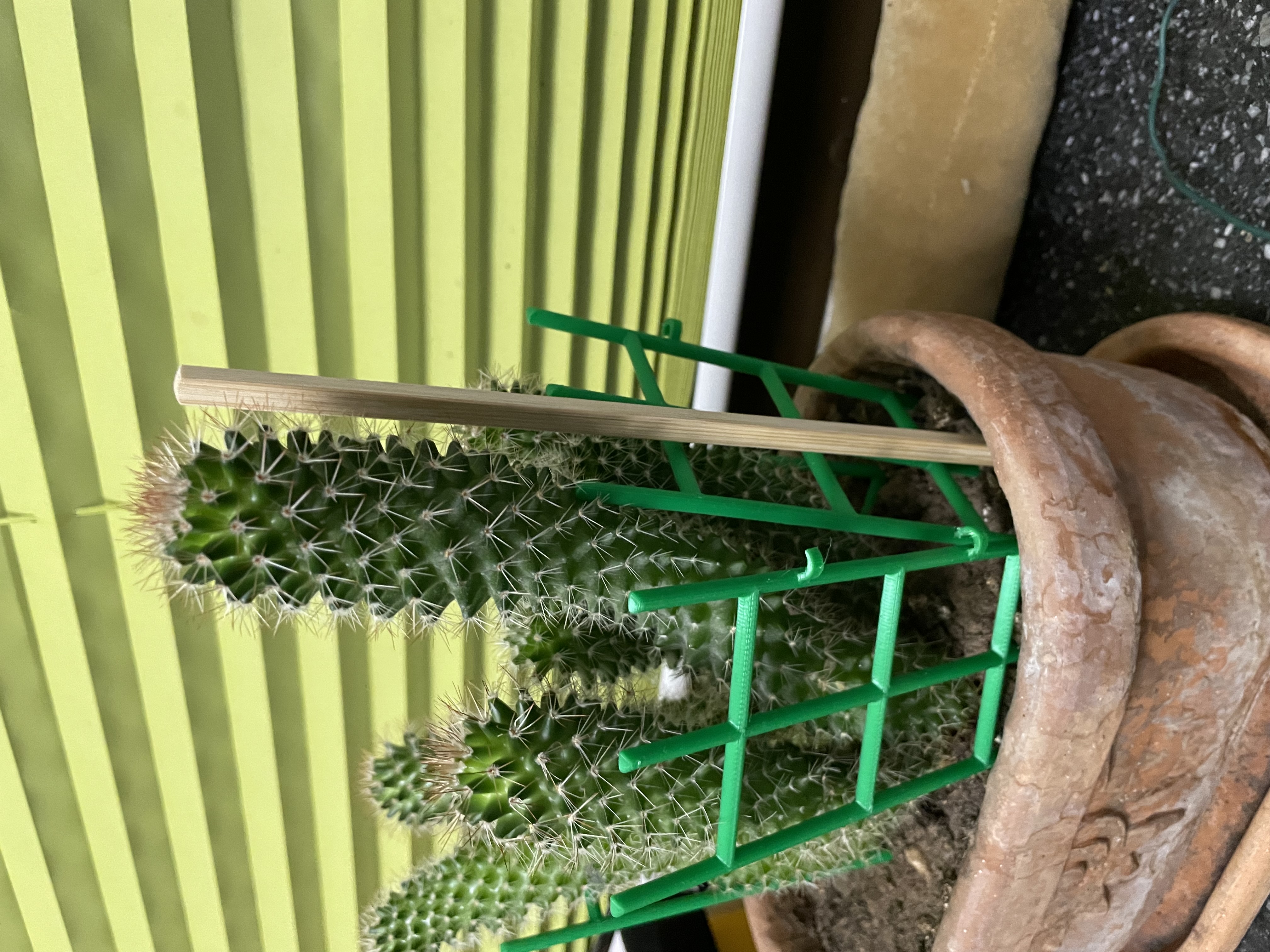 Support for cactus / plants