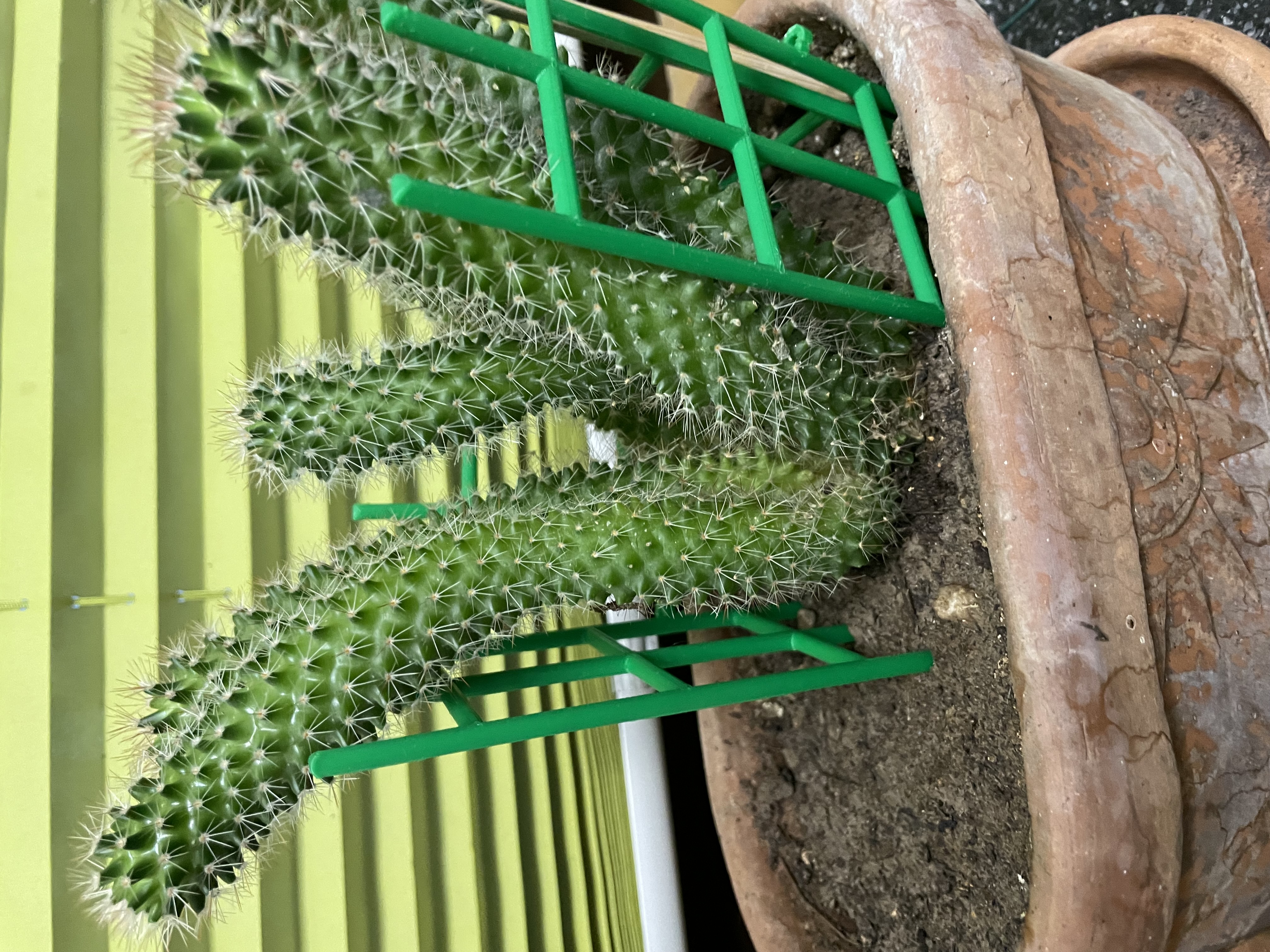 Miniatura 2 do modelo 3D Support for cactus / plants