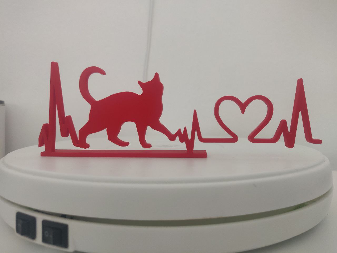 CAT LOVER WITH SUPPORT