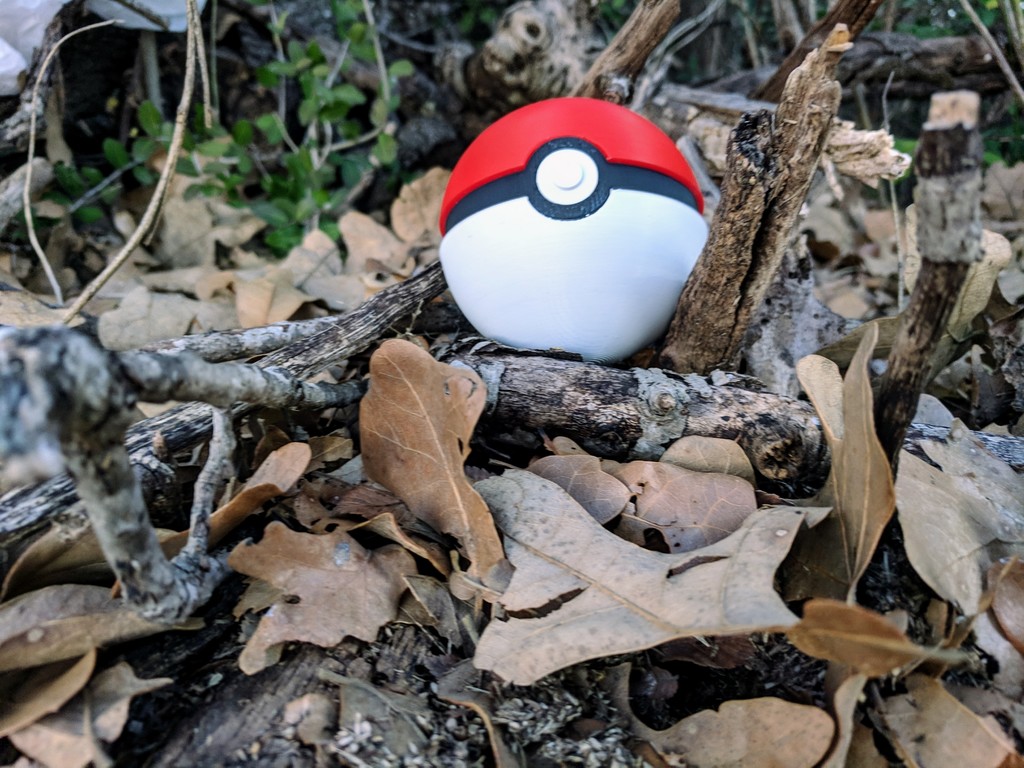 Pokeball, MasterBall, Greatball - Pokemon by KC Ortiz | Download free ...