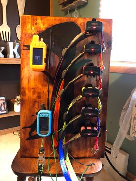 Garmin collar 2025 charging station