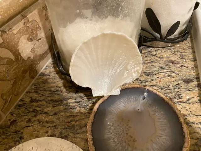 3.5 inch Seashell