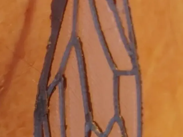 Cicada wing earring
