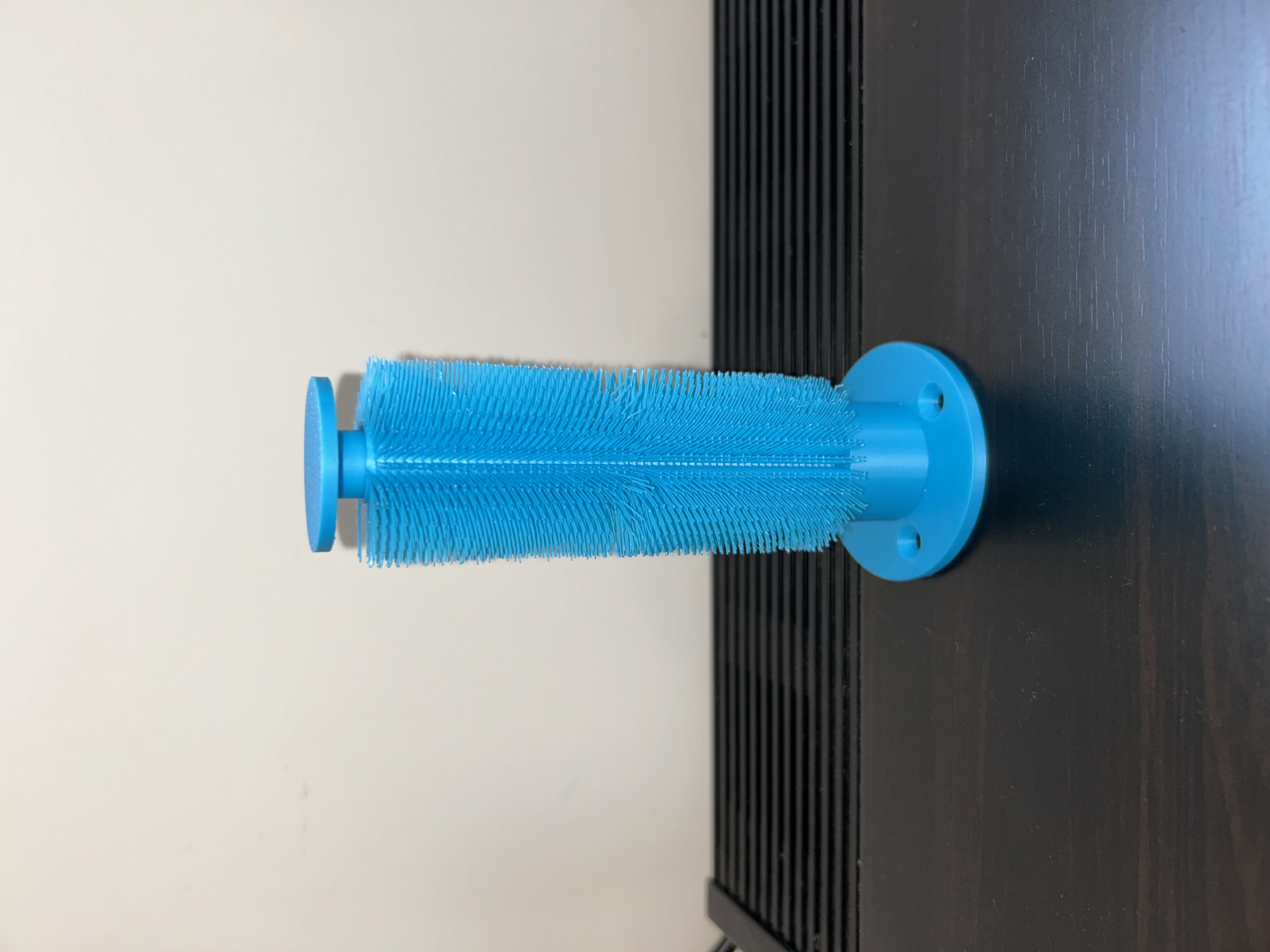 Shell scratcher — miniatura 2