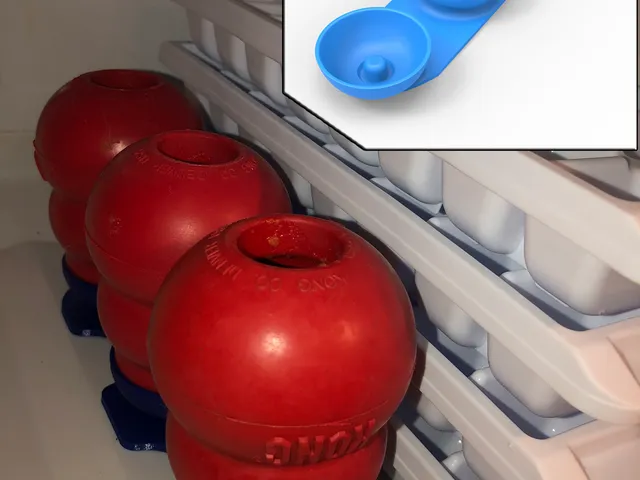 Kong Dog Tray Treat Freezer