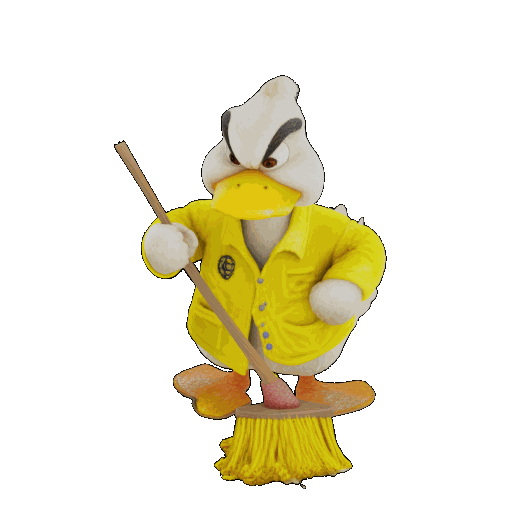 duck cleaning