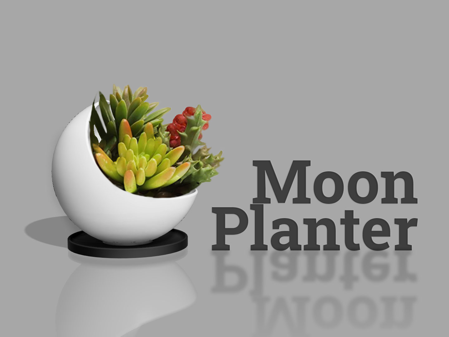 Moon planter 3D model thumbnail