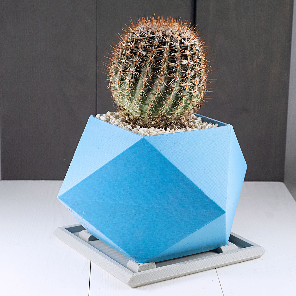 Spikey Planter