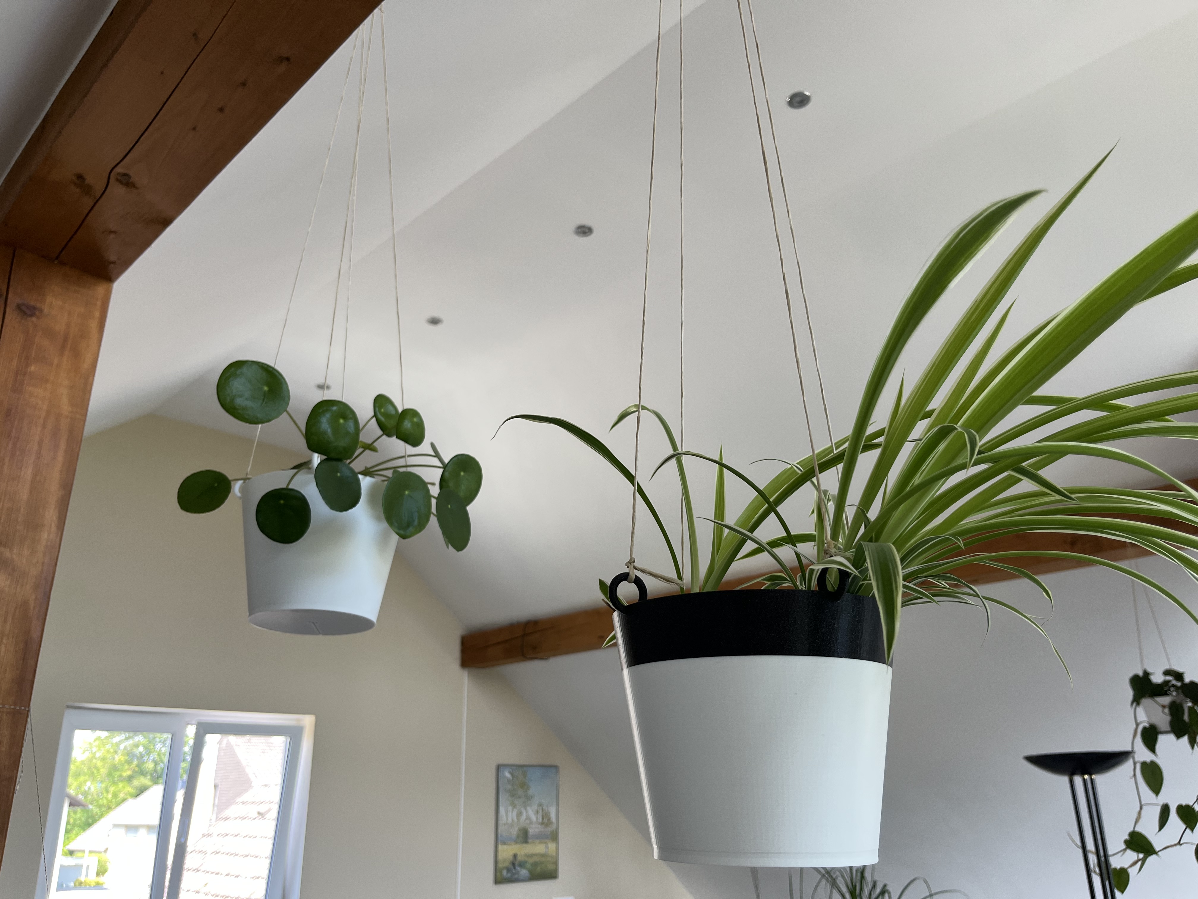 Hangable Plant Container