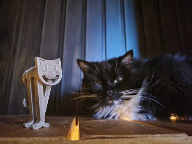 Cat'n Clip!