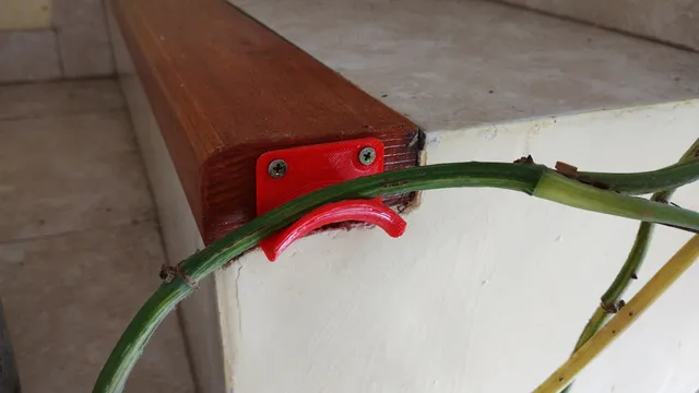 Hook for plants