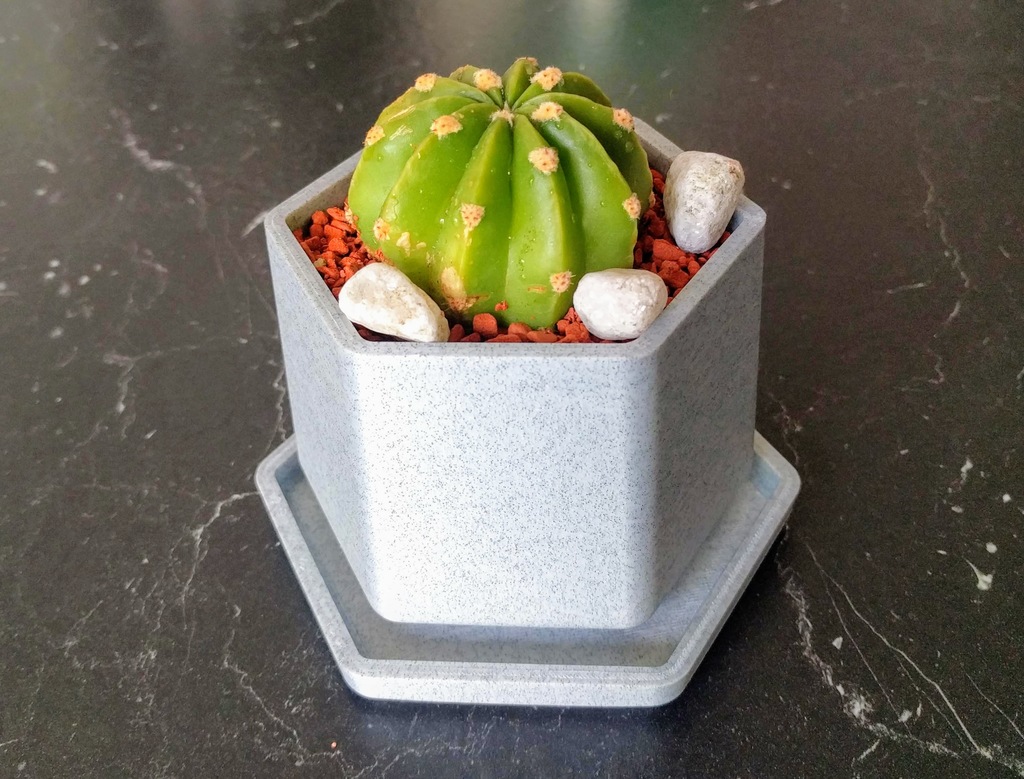 Miniatura 3 do modelo 3D Small Flower Pot with Drip Tray