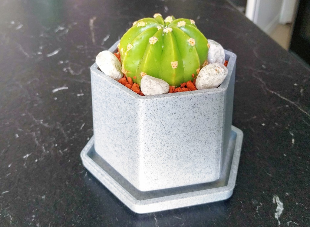 Small Flower Pot with Drip Tray
