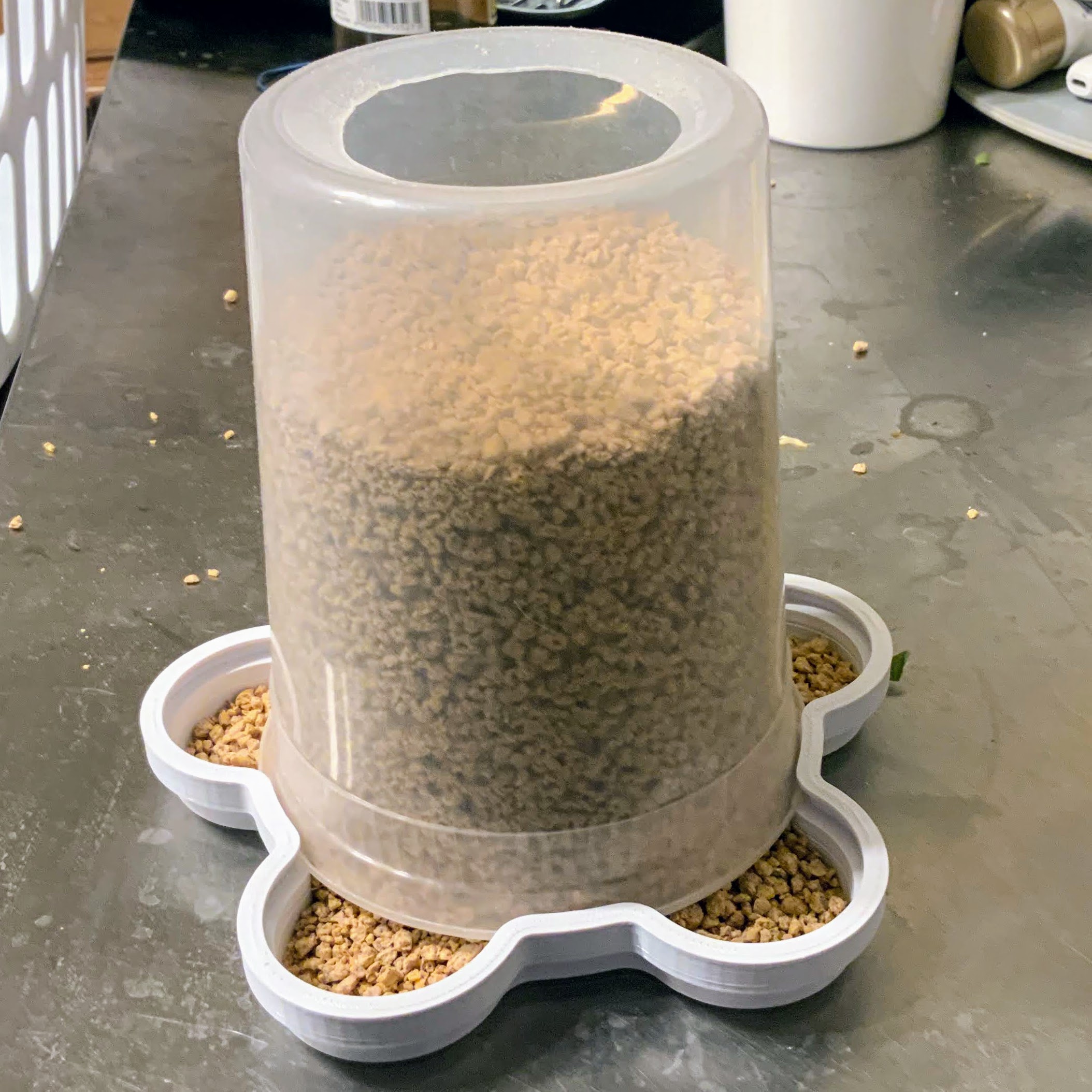 deli cup chicken feeder