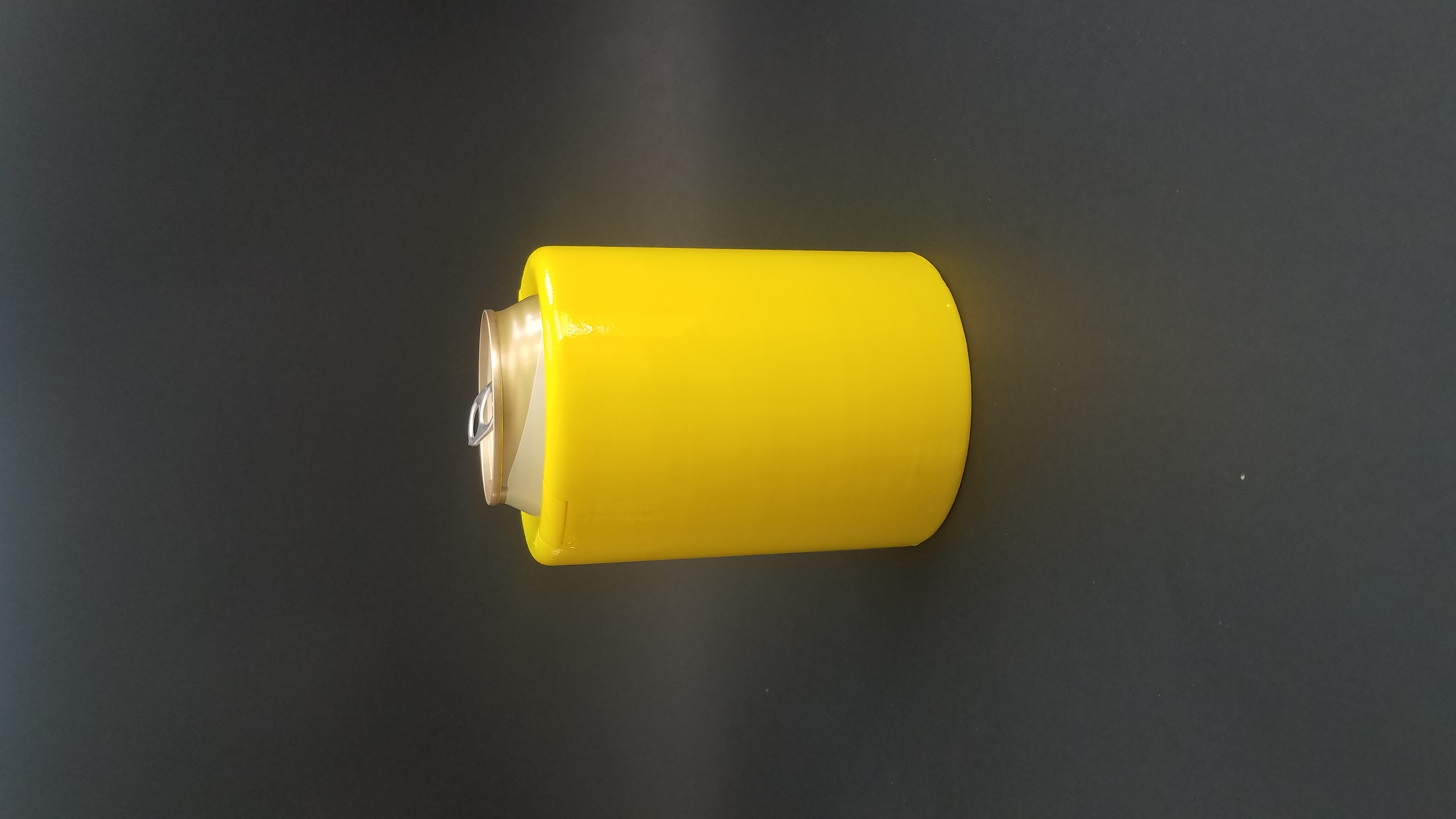 Freezable Can Cooler