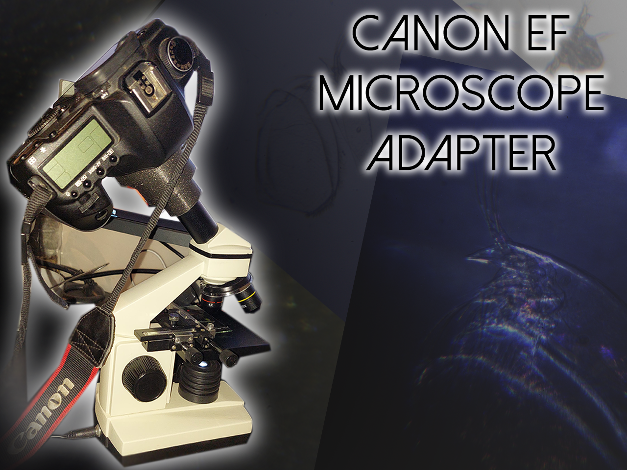 Canon EF to Microscope adapter