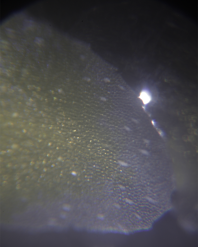 Canon EF to Microscope adapter by 3D_Printing_Enjoyer Download free