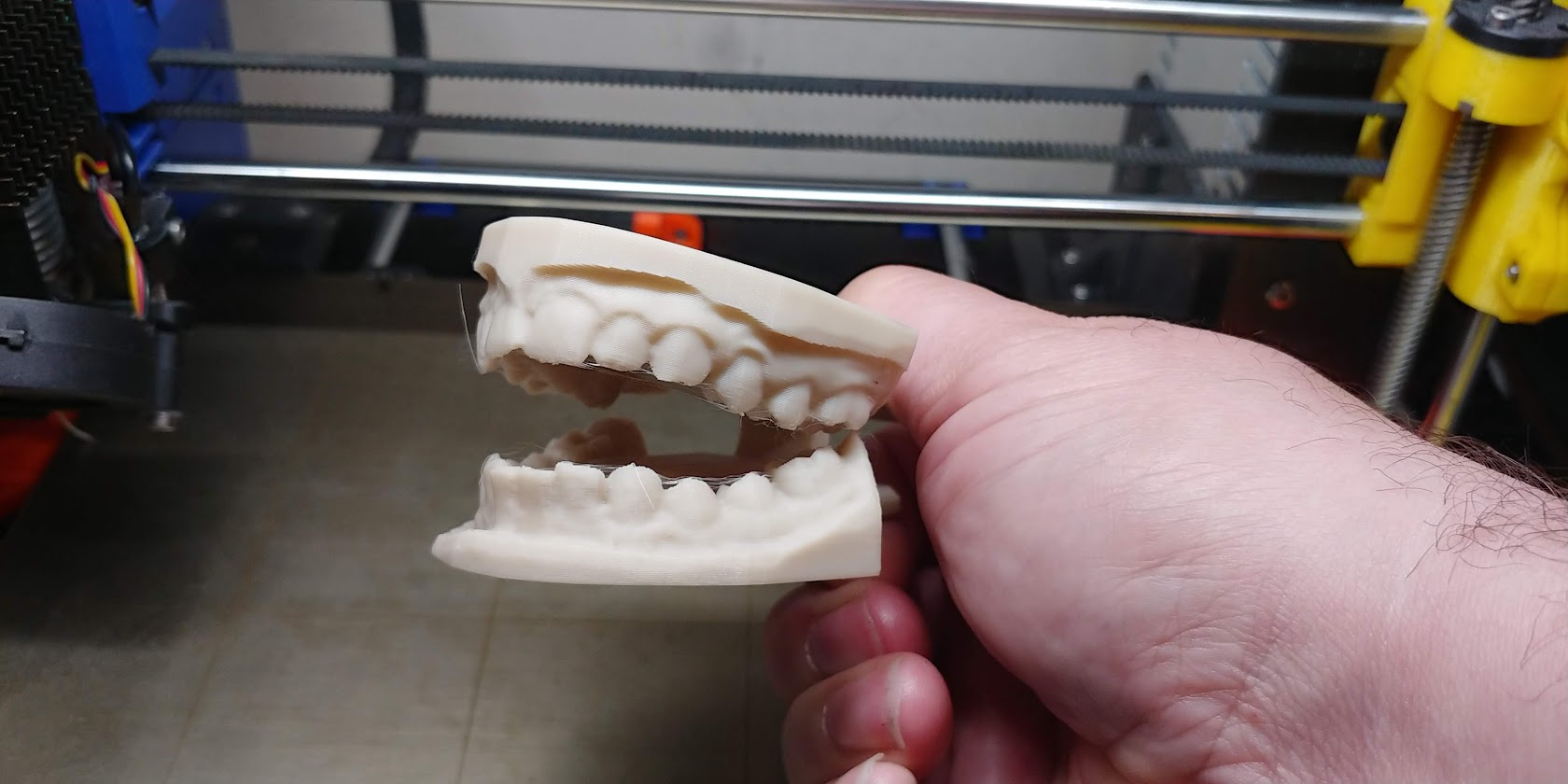 Set of Human Teeth Bag Clip