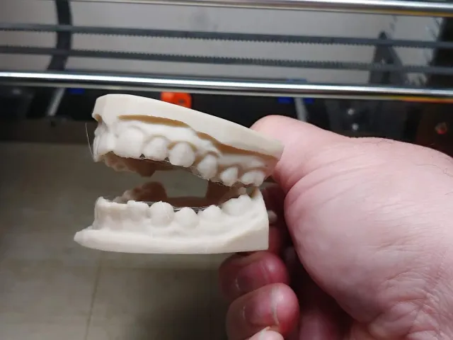 Set of Human Teeth Bag Clip